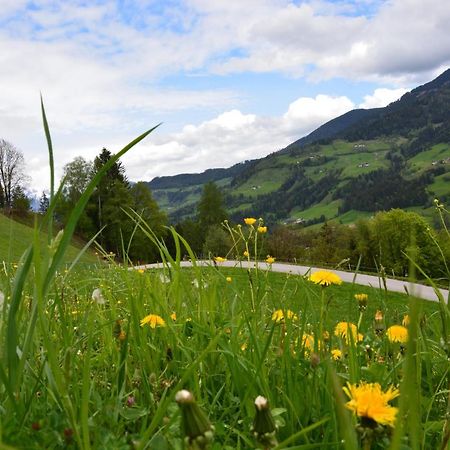 Niederstallnhof Sankt Johann im Pongau Kültér fotó