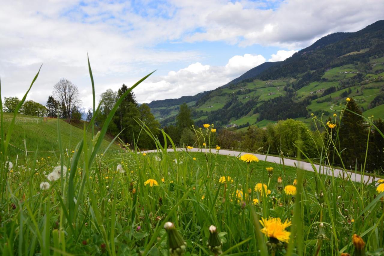 Niederstallnhof Sankt Johann im Pongau Kültér fotó